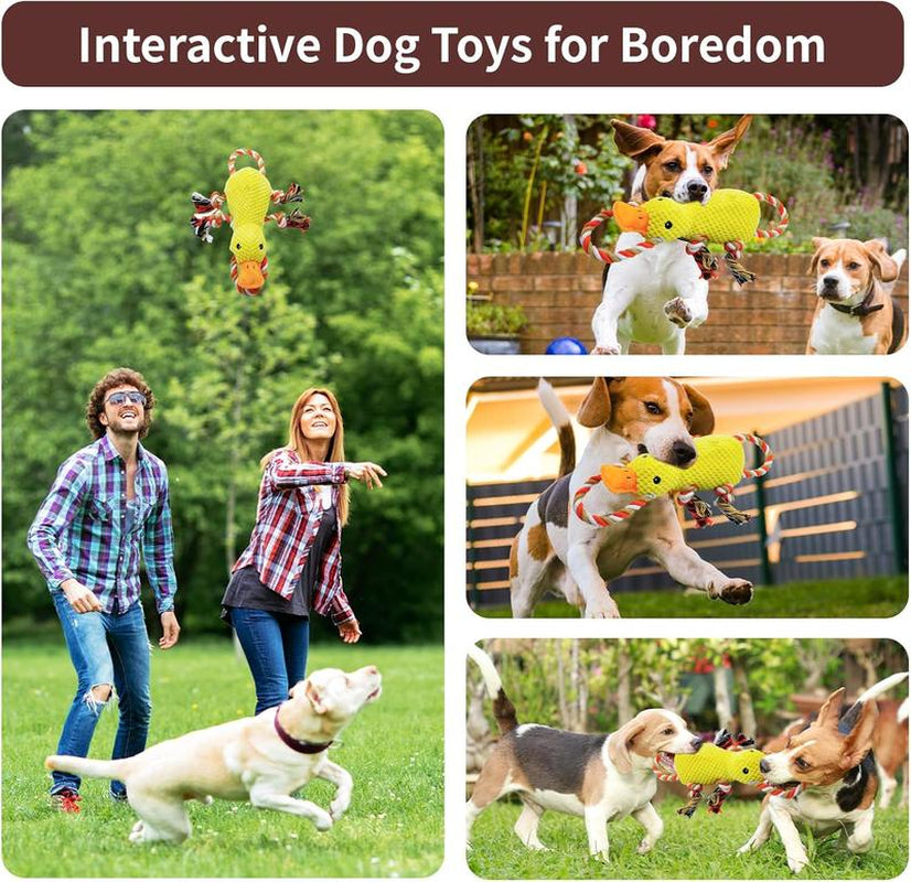 Made from 100% Safe Materials, This Bite Force Dog Toy Is Not Only Fun but Also Beneficial for Your Pet'S Dental Health.
